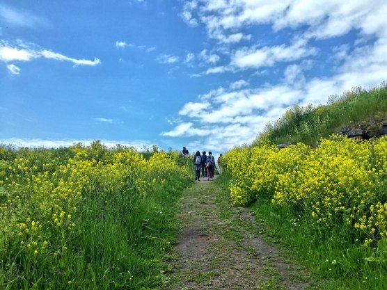 Suomenlinna, pulau kecil nan cantik yang masih merupakan bagian dari kota Helsinki