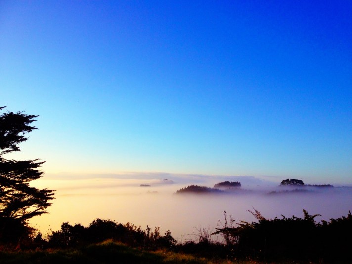 Pemandangan saat musim dingin di belakang rumah saya