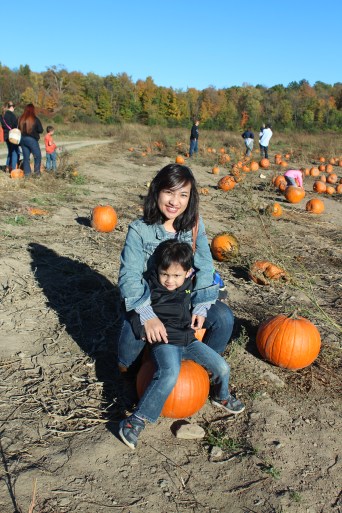Pumpkin patch