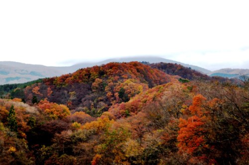 Lukisan alam sekitar Jogi Nyorai.
