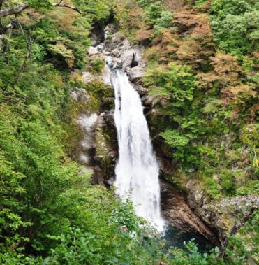 ????????????????????????????????????