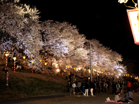 ????????????????????????????????????