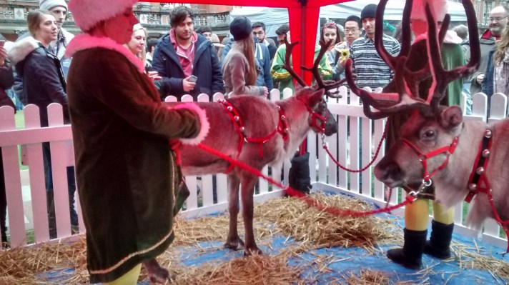 Foto 25a. Saat winter banyak keramaian di Royal Holloway pagelaran reindeer ini termasuk salah satunya
