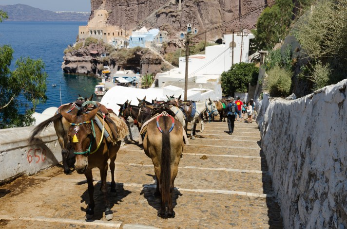 donkey_trail_-_fira_-_thira_-_to_mesa_gialos_port_-_santorini_-_greece_-_05
