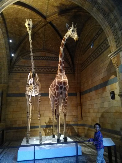 Di Natural History Museum