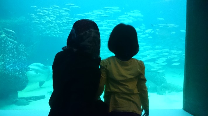 7) Menonton ikan di Nordsoen Oceanorium (2)